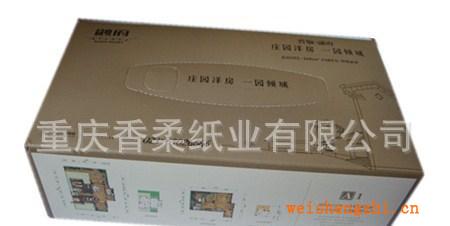 【低價直銷】供應(yīng)各類紙巾（廣告、盒抽、餐巾紙等）(圖)